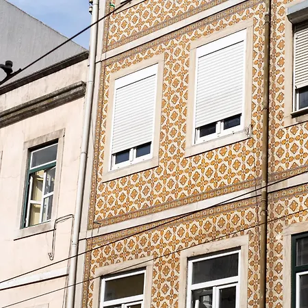 Akicity Anjos Daisy *